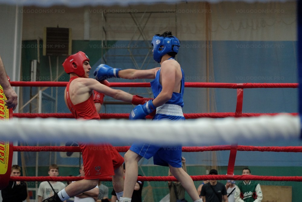 В Волгодонске завершился боксерский турнир памяти А.А. Улесова