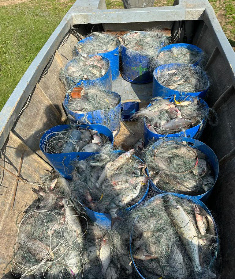 В Цимлянском море за ночь три браконьера наловили более 900 штук рыб