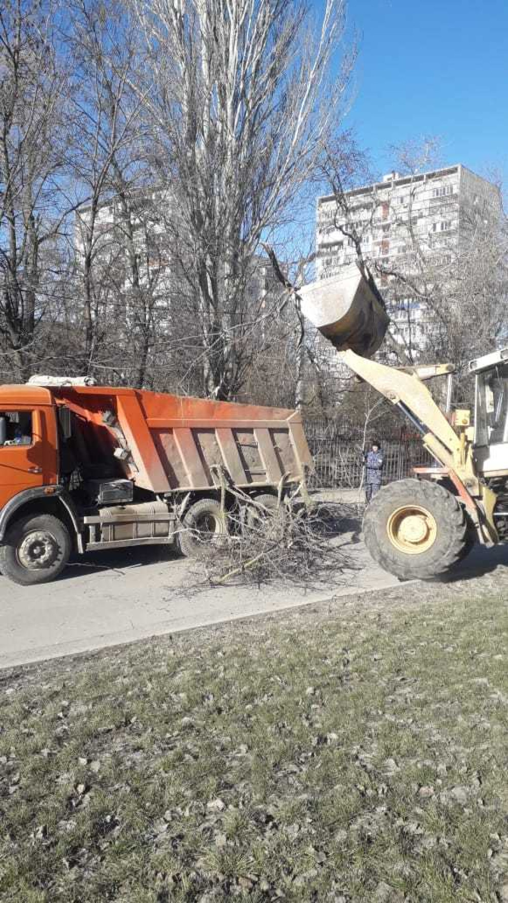 В Волгодонске призвали горожан выйти во дворы и убрать ветки -  Волгодонск.Про